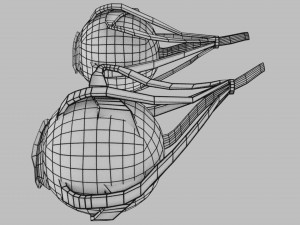Eye anatomy cut open detail labelled 3D 3Dモデル