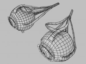 Eye anatomy cut open detail labelled 3D 3Dモデル