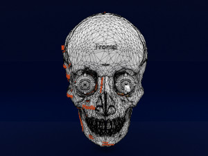 Eye with complete skull 3D 3D Модель