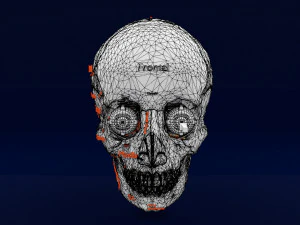 Eye with complete skull 3D 3D Model