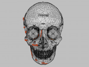 Eye with complete skull 3D 3D Модель