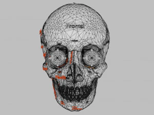 Eye with complete skull 3D 3D Model