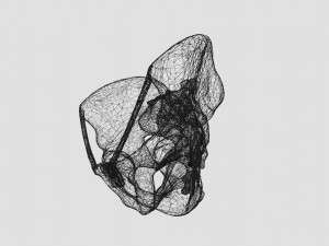 Female pelvis dimensions pelvimetry 3D-Modell