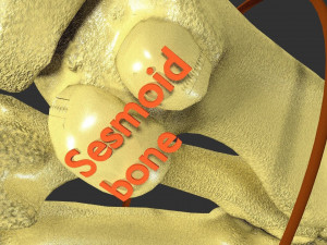 Foot with label text 3D 模型