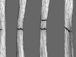 Fracture types labelled Model 3D