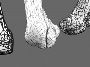 Fracture types labelled Model 3D