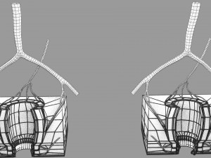 3D hemorrhoids CLEANED UP model 3D-Modell