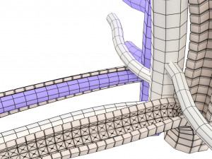 Hepatic lobule Modelo 3D