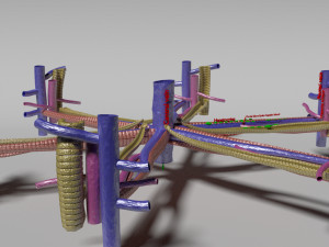 Hepatic lobule Modelo 3D