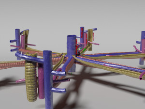Hepatic lobule Modelo 3D