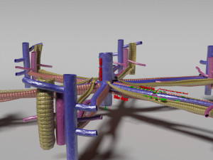 Hepatic lobule Modelo 3D