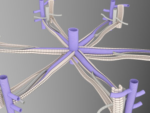 Hepatic lobule Modelo 3D
