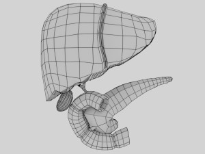 3D Hepato biliary tract pancreas gallbladder 3D मॉडल