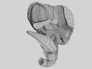3D Hepato biliary tract pancreas gallbladder 3D Model