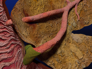 3D Hepato biliary tract pancreas gallbladder 3D मॉडल