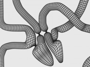 Systemic blood flow 3D 3D Model
