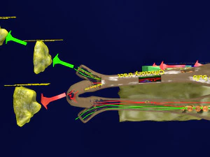 Olfactory system smell odour detail labelled 3D Model