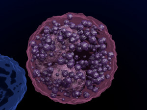 WHITE BLOOD CELLS LEUCOCYTES 3D 3D 모델