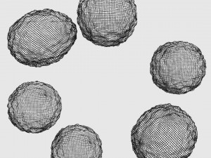 WHITE BLOOD CELLS LEUCOCYTES 3D 3D 모델