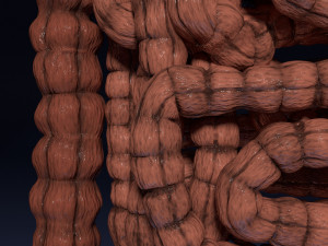 Intestine animated model 3D Model