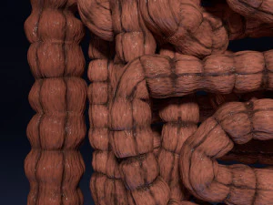 Intestine animated model 3D Model