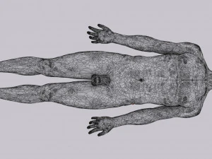 Intestine animated model 3D Model