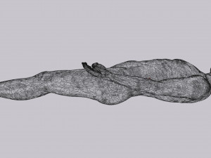 Intestine animated model 3D Model