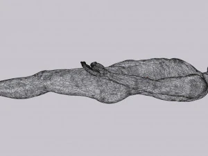 Intestine animated model 3D Model