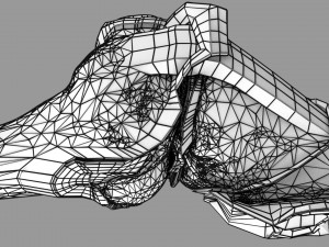 Knee joint cut open detail labelled 3D Model