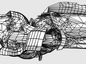 Knee joint cut open detail labelled 3D Model
