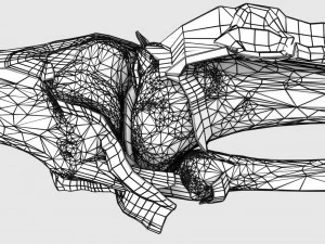 Knee joint cut open detail labelled 3D Model