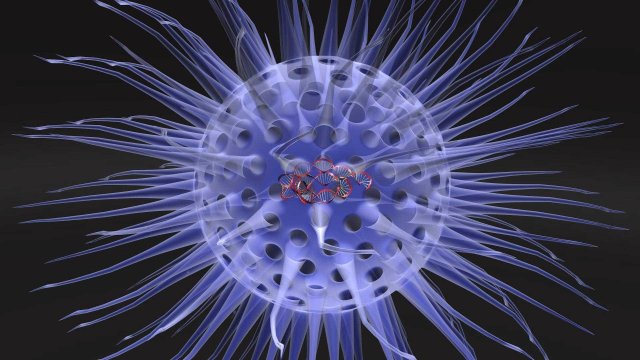 Virus animated with DNA detailed Model 3D .c4d .max .obj .3ds .fbx .stl .blend 