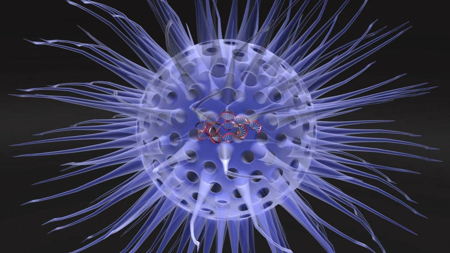 Virus animated with DNA detailed 3D Model .c4d .max .obj .3ds .fbx .stl .blend 