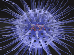 Virus animated with DNA detailed 3Dモデル