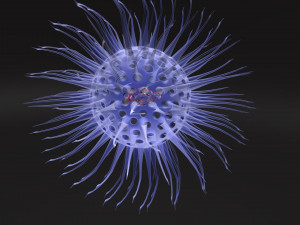 Virus animated with DNA detailed Model 3D