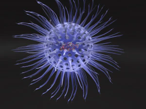 Virus animated with DNA detailed 3D Model