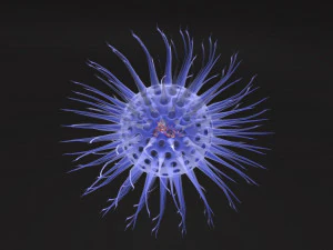 Virus animated with DNA detailed 3D Model