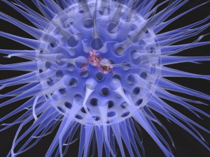 Virus animated with DNA detailed Model 3D