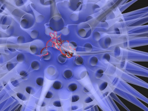 Virus animated with DNA detailed Model 3D