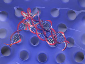 Virus animated with DNA detailed Model 3D