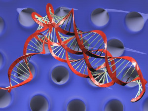 Virus animated with DNA detailed Model 3D