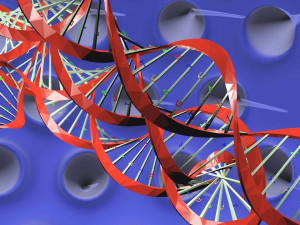Virus animated with DNA detailed Model 3D