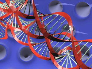 Virus animated with DNA detailed 3D Model