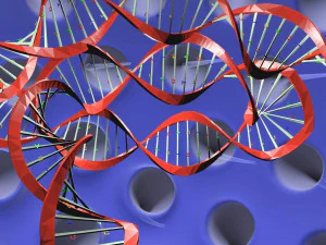 Virus animated with DNA detailed 3D Model