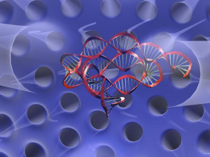 Virus animated with DNA detailed Model 3D