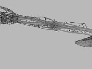 Venous drainage upper limb- vein model 3D-Modell