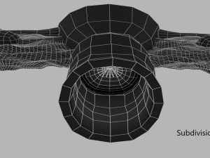 Uterus 3D Model