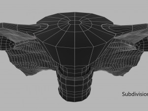 Uterus 3D 模型