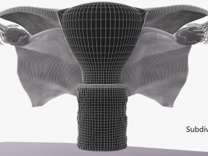 Uterus 3D 模型
