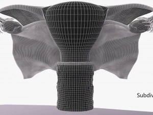 Uterus 3D Model